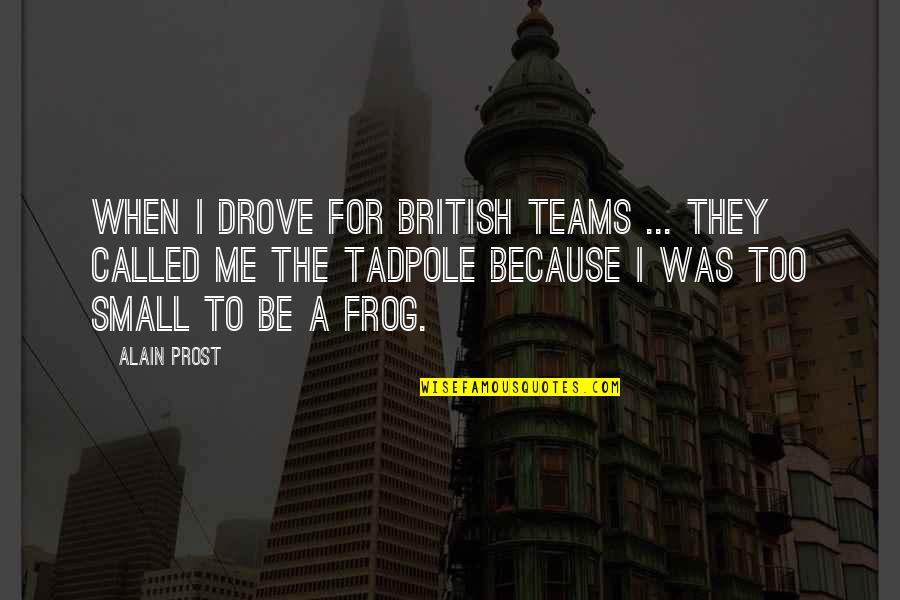 Small Team Quotes By Alain Prost: When I drove for British teams ... they