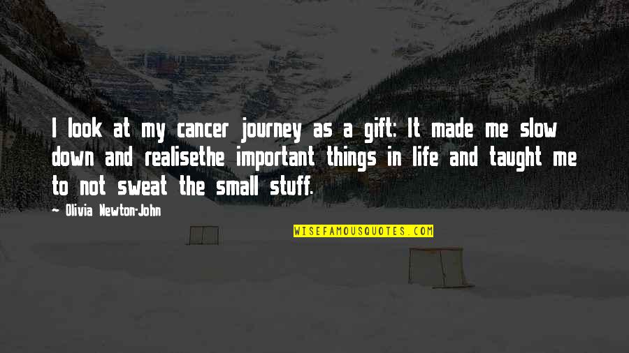 Small Things In Life Quotes By Olivia Newton-John: I look at my cancer journey as a