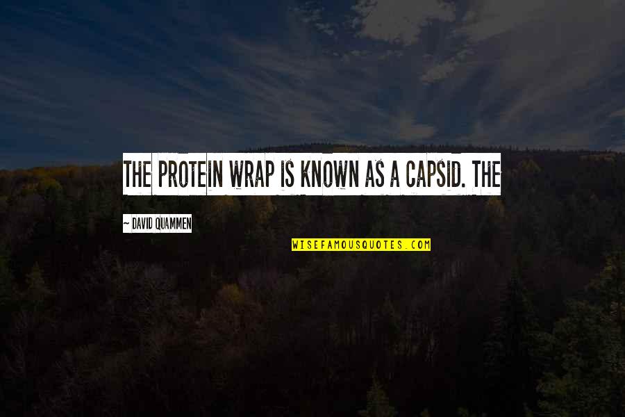 Small Things In Nature Quotes By David Quammen: The protein wrap is known as a capsid. Small Things In Nature Quotes By David Quammen: The protein wrap is known as a capsid.