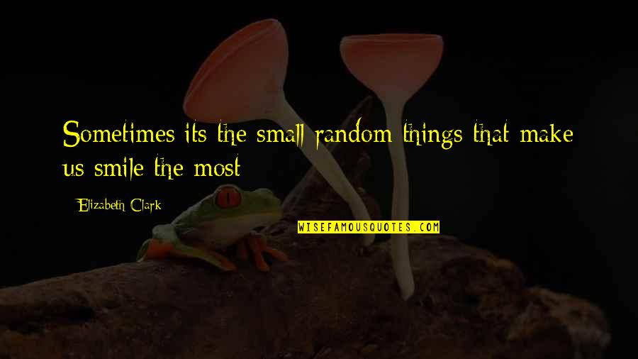 Small Things Make You Smile Quotes By Elizabeth Clark: Sometimes its the small random things that make