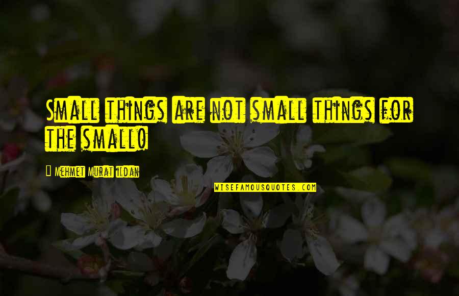 Small Things Quotes By Mehmet Murat Ildan: Small things are not small things for the