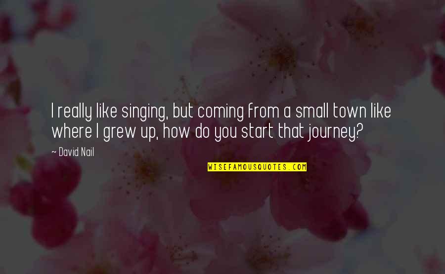 Small Town Quotes By David Nail: I really like singing, but coming from a