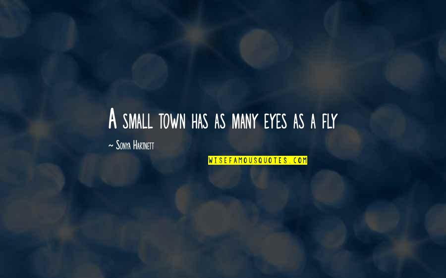 Small Towns Quotes By Sonya Hartnett: A small town has as many eyes as