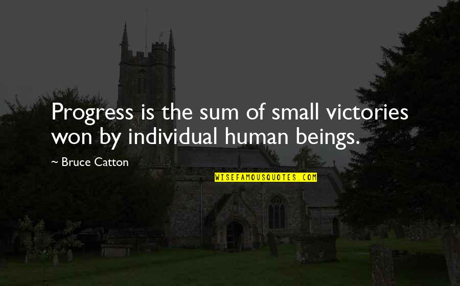 Small Victory Quotes By Bruce Catton: Progress is the sum of small victories won