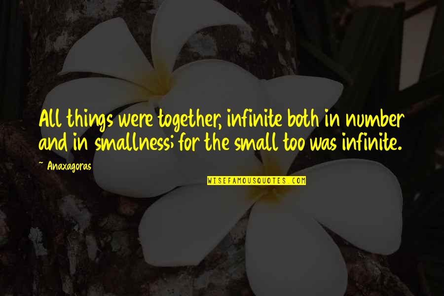 Smallness Quotes By Anaxagoras: All things were together, infinite both in number