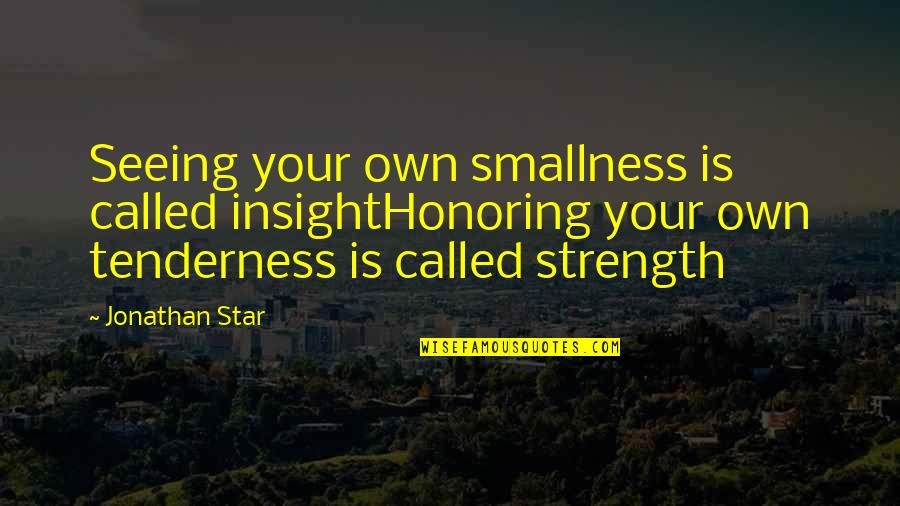 Smallness Quotes By Jonathan Star: Seeing your own smallness is called insightHonoring your