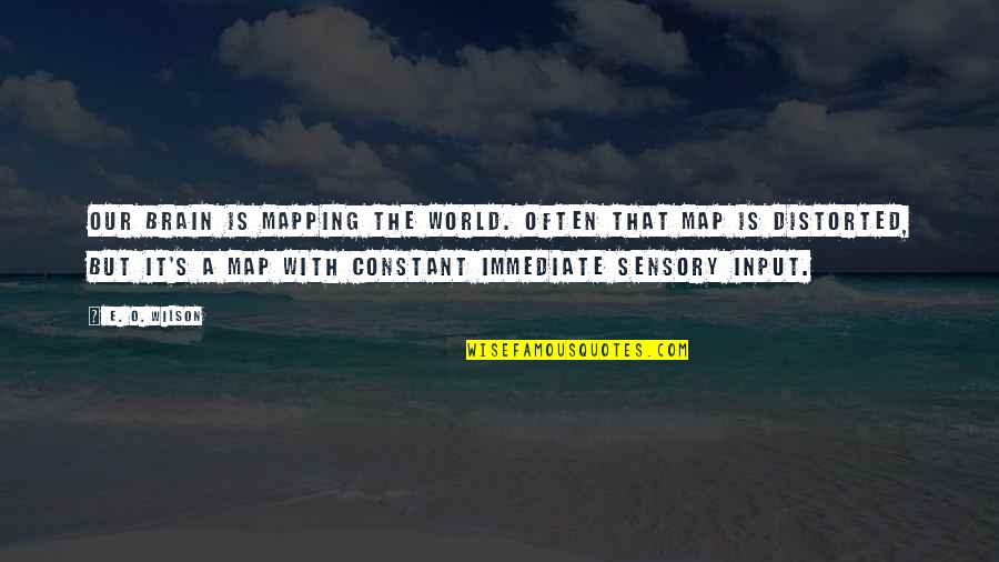 Smaranda Marian Quotes By E. O. Wilson: Our brain is mapping the world. Often that Smaranda Marian Quotes By E. O. Wilson: Our brain is mapping the world. Often that