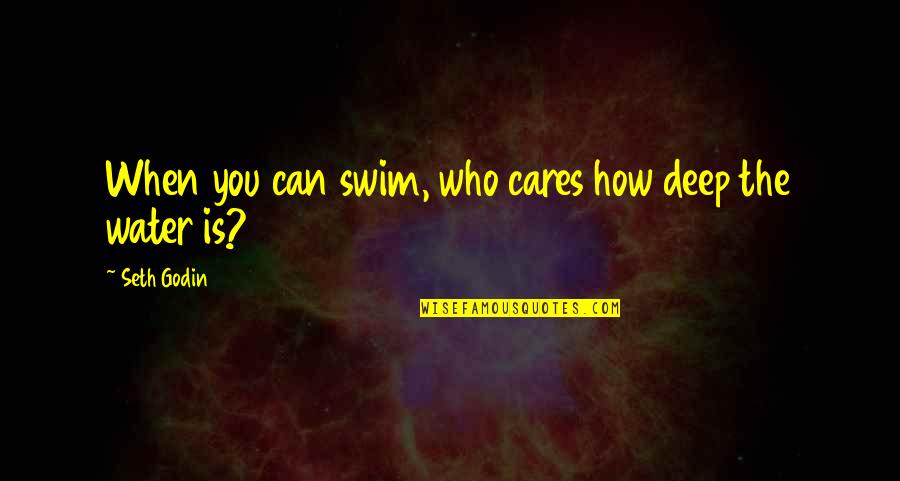 Smarm Quotes By Seth Godin: When you can swim, who cares how deep