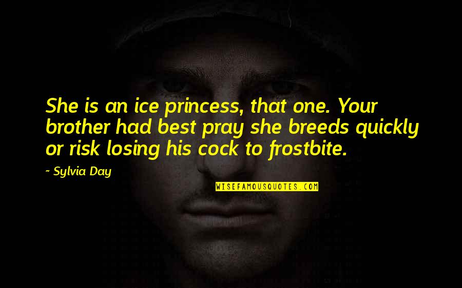 Smart And Lazy Quotes By Sylvia Day: She is an ice princess, that one. Your