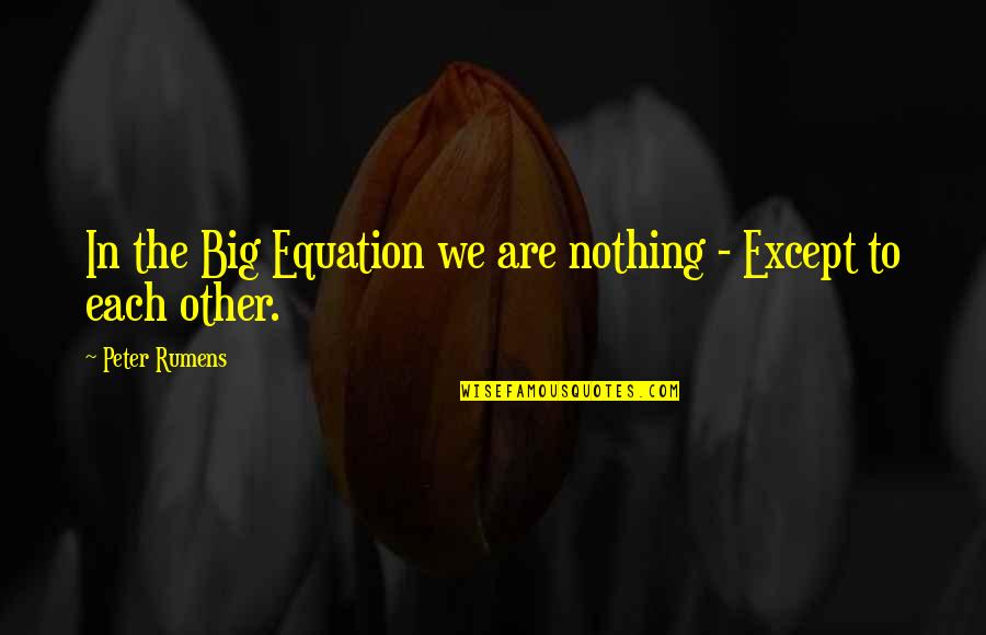 Smart Board Quotes By Peter Rumens: In the Big Equation we are nothing -