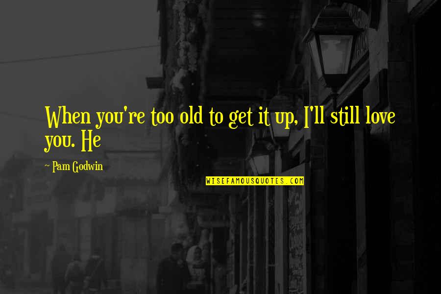 Smart Energy Quotes By Pam Godwin: When you're too old to get it up,