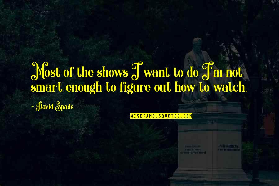 Smart Enough Quotes By David Spade: Most of the shows I want to do