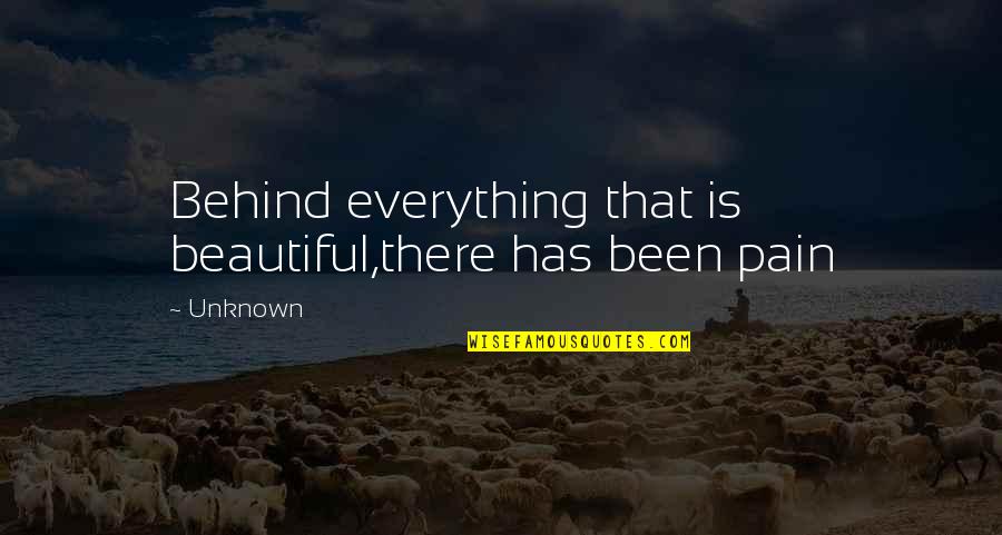 Smart Goal Quote Quotes By Unknown: Behind everything that is beautiful,there has been pain