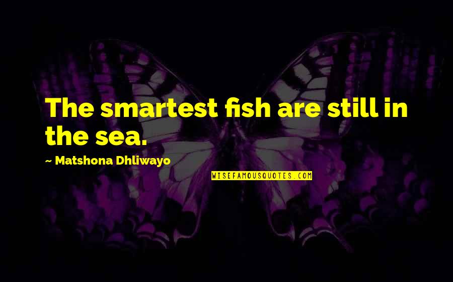Smart Words In Quotes By Matshona Dhliwayo: The smartest fish are still in the sea.