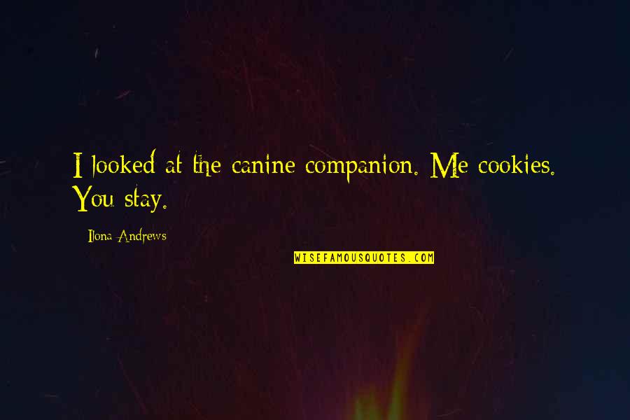 Smartmusic Quotes By Ilona Andrews: I looked at the canine companion. Me cookies.
