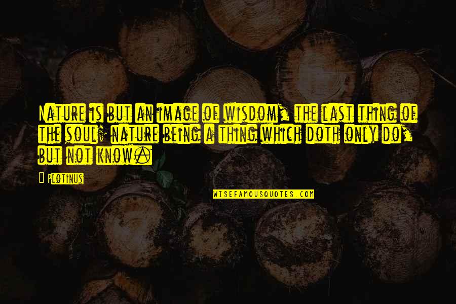 Smash Bros Win Quotes By Plotinus: Nature is but an image of wisdom, the Smash Bros Win Quotes By Plotinus: Nature is but an image of wisdom, the