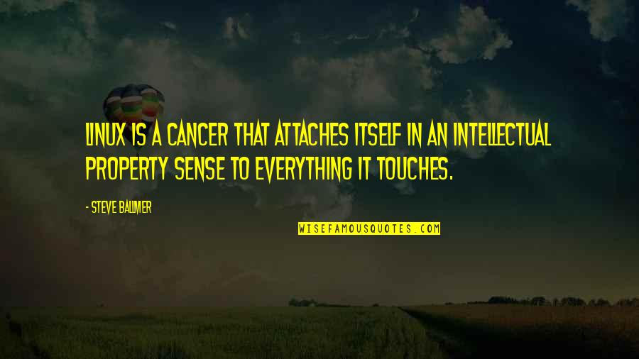 Smash Your Goals Quotes By Steve Ballmer: Linux is a cancer that attaches itself in