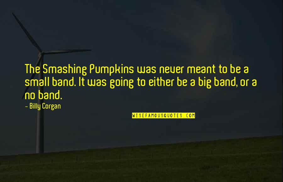 Smashing Pumpkin Quotes By Billy Corgan: The Smashing Pumpkins was never meant to be