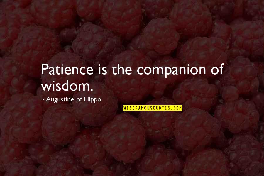 Smee Quotes By Augustine Of Hippo: Patience is the companion of wisdom.