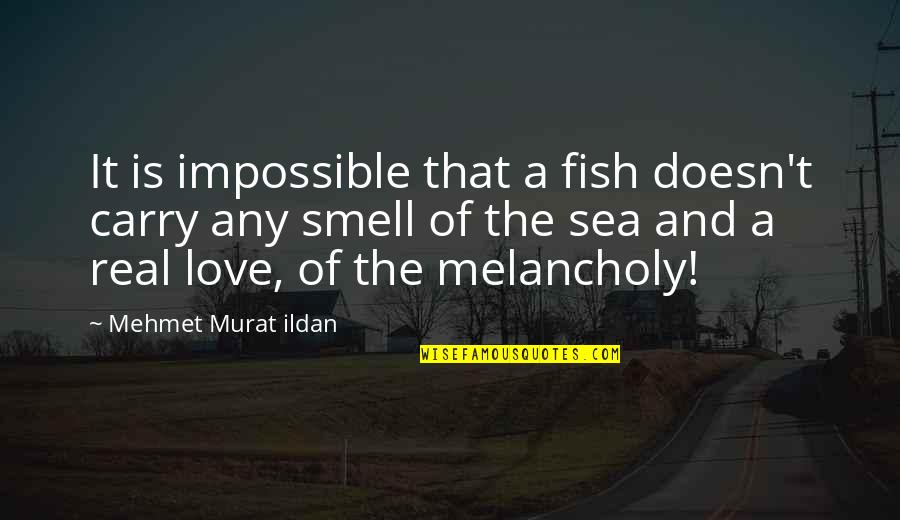 Smell And Love Quotes By Mehmet Murat Ildan: It is impossible that a fish doesn't carry