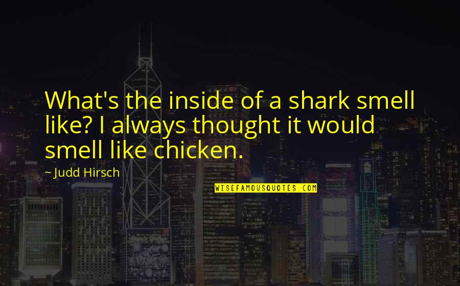 Smell Like A Quotes By Judd Hirsch: What's the inside of a shark smell like?