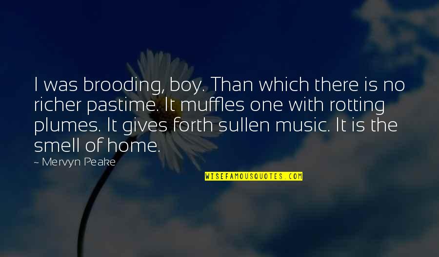 Smell Of Home Quotes By Mervyn Peake: I was brooding, boy. Than which there is