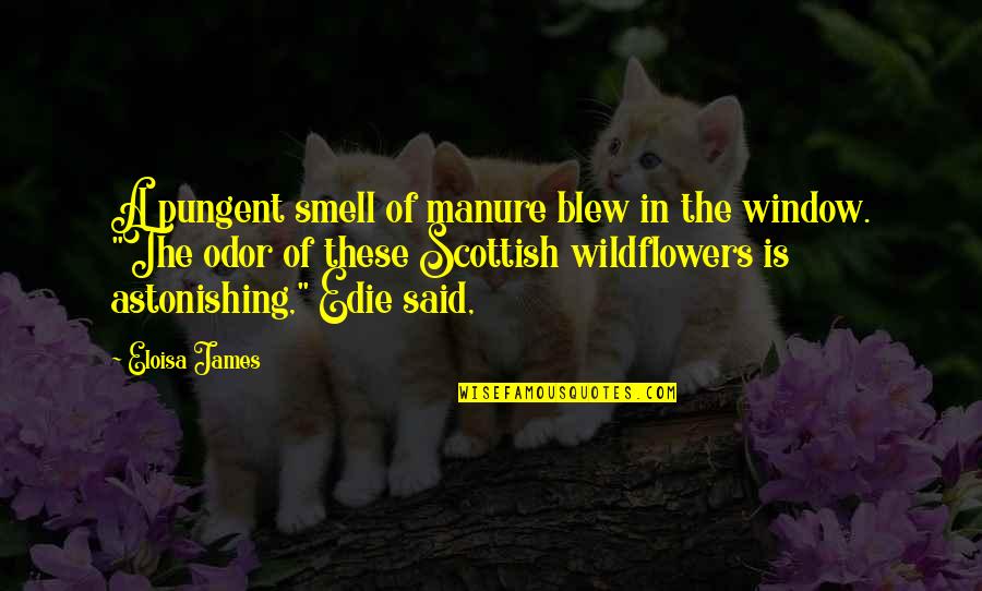 Smell The Quotes By Eloisa James: A pungent smell of manure blew in the Smell The Quotes By Eloisa James: A pungent smell of manure blew in the
