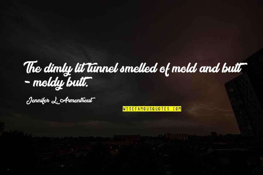 Smelled Quotes By Jennifer L. Armentrout: The dimly lit tunnel smelled of mold and