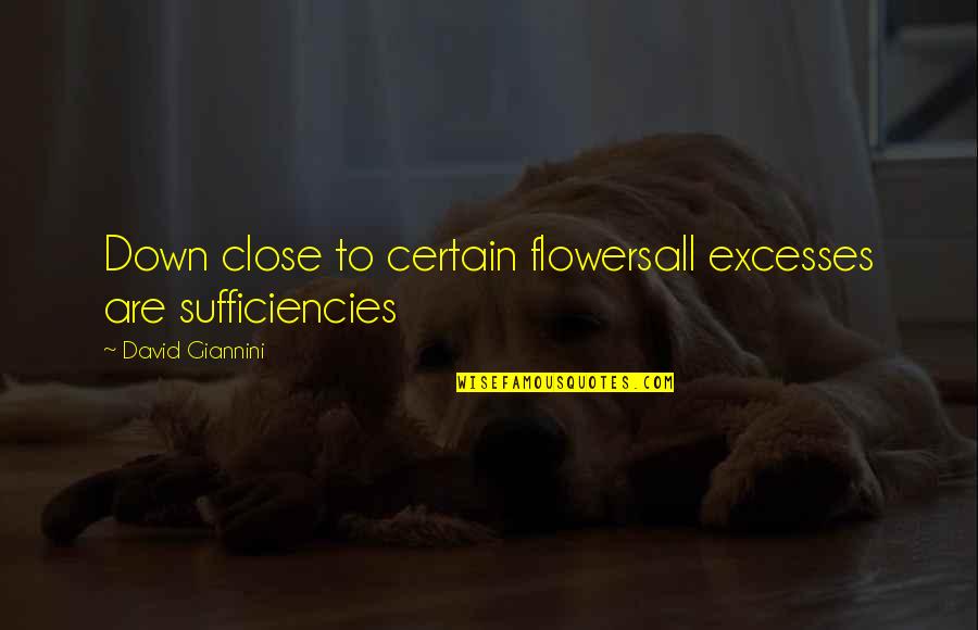 Smelling Flowers Quotes By David Giannini: Down close to certain flowersall excesses are sufficiencies
