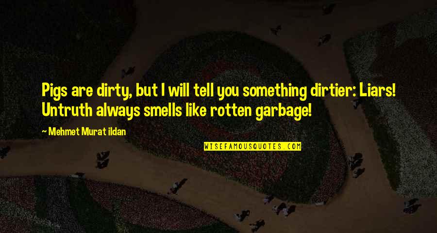 Smells Like Quotes By Mehmet Murat Ildan: Pigs are dirty, but I will tell you