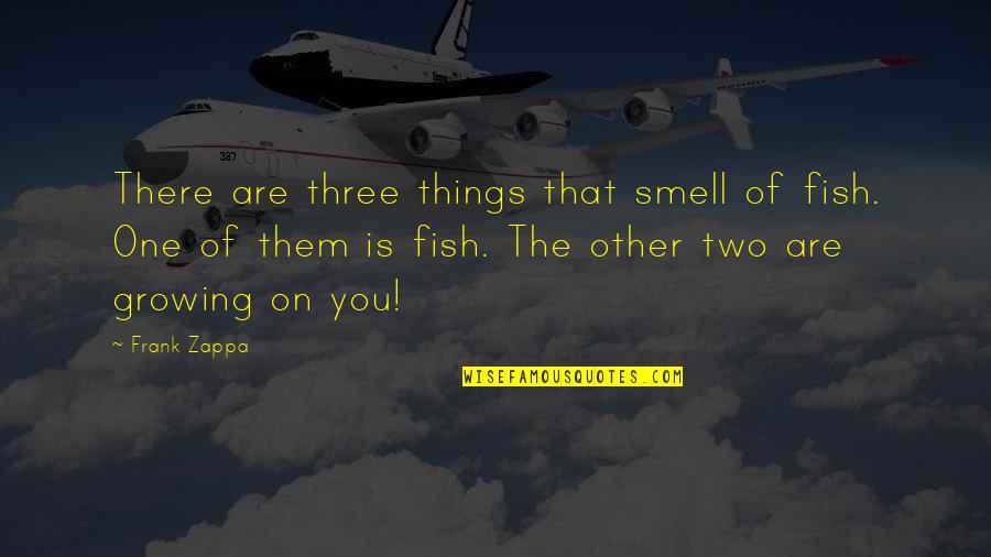 Smell'st Quotes By Frank Zappa: There are three things that smell of fish.