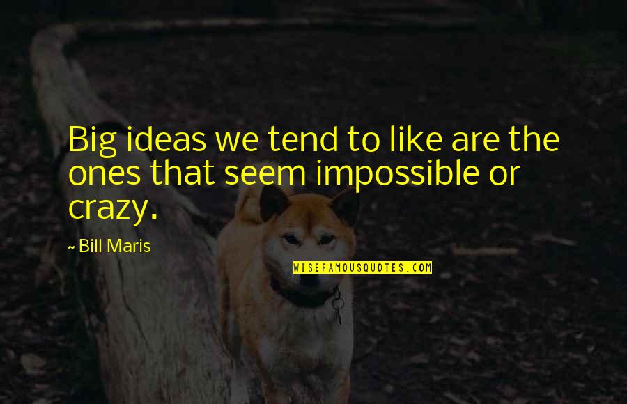 Smeralda Karlslunde Quotes By Bill Maris: Big ideas we tend to like are the