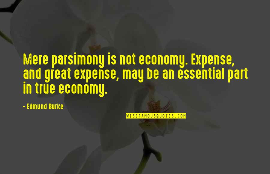Smetter Quotes By Edmund Burke: Mere parsimony is not economy. Expense, and great