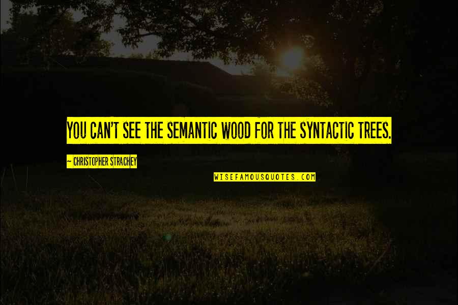 Smetto Quando Voglio Quotes By Christopher Strachey: You can't see the semantic wood for the