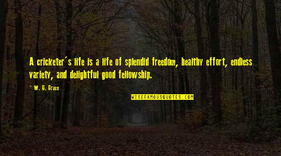 Smile 2013 Quotes By W. G. Grace: A cricketer's life is a life of splendid Smile 2013 Quotes By W. G. Grace: A cricketer's life is a life of splendid