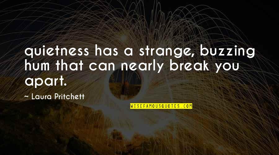 Smile And Love Tagalog Quotes By Laura Pritchett: quietness has a strange, buzzing hum that can