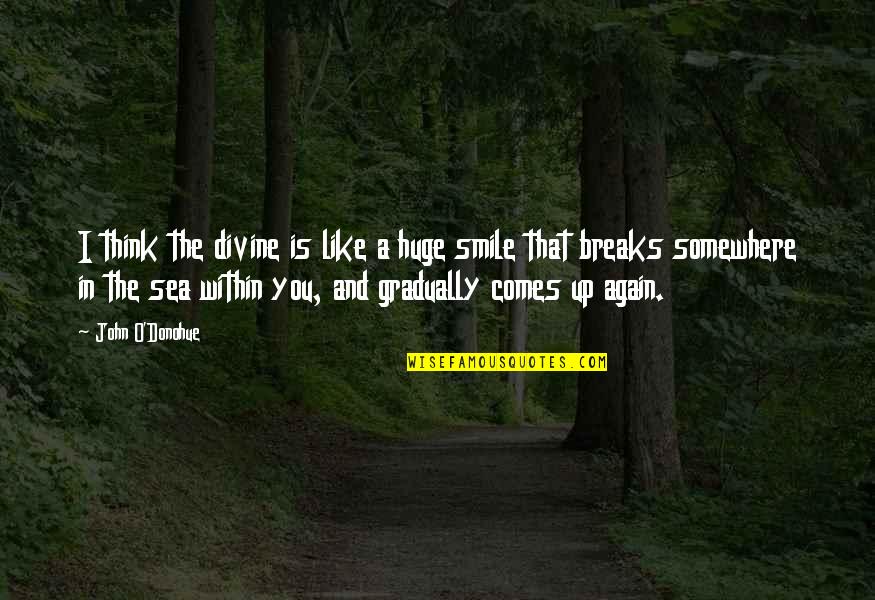 Smile And You Quotes By John O'Donohue: I think the divine is like a huge