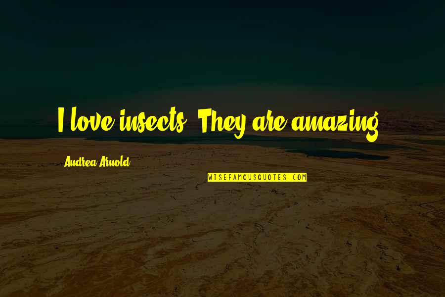 Smile At Your Haters Quotes By Andrea Arnold: I love insects. They are amazing. Smile At Your Haters Quotes By Andrea Arnold: I love insects. They are amazing.