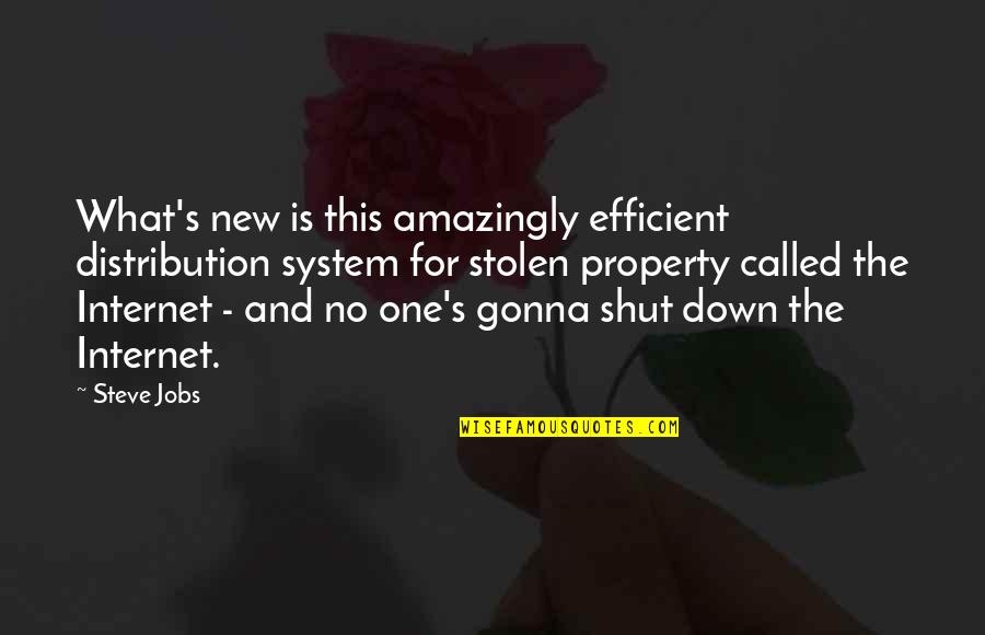 Smile By Unknown Quotes By Steve Jobs: What's new is this amazingly efficient distribution system
