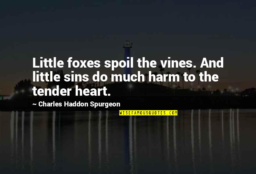 Smile Jar Quotes By Charles Haddon Spurgeon: Little foxes spoil the vines. And little sins