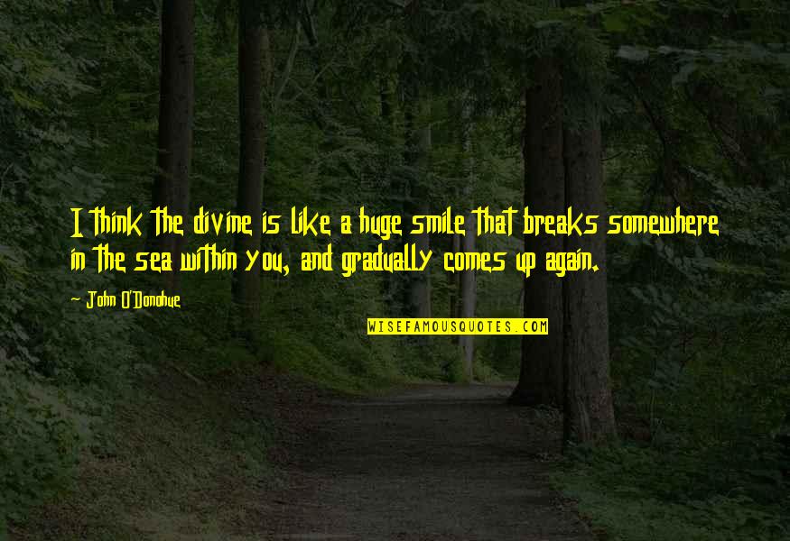 Smile Like A Quotes By John O'Donohue: I think the divine is like a huge