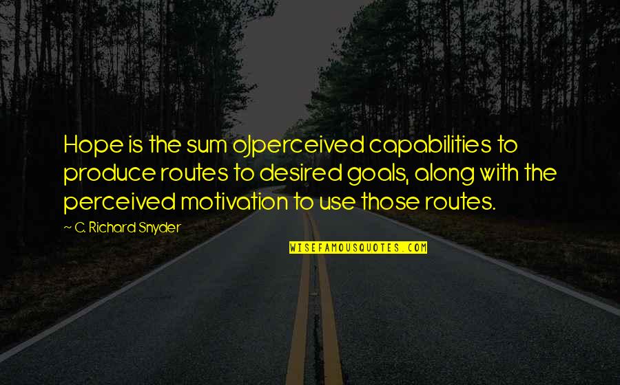 Smile More Laugh Often Quotes By C. Richard Snyder: Hope is the sum oJperceived capabilities to produce