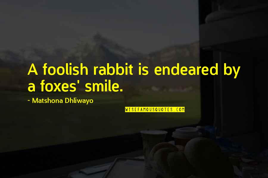 Smile Quotes By Matshona Dhliwayo: A foolish rabbit is endeared by a foxes' Smile Quotes By Matshona Dhliwayo: A foolish rabbit is endeared by a foxes'
