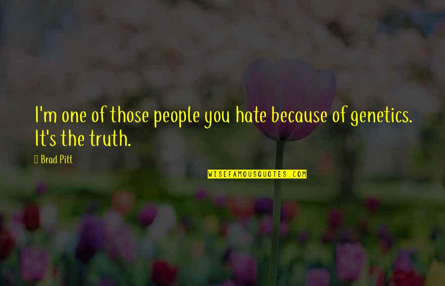 Smile Through Life Quotes By Brad Pitt: I'm one of those people you hate because