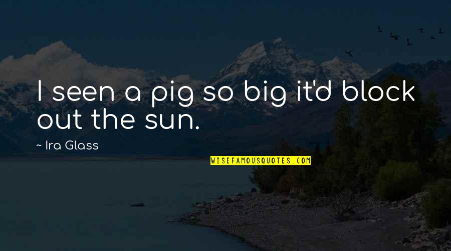 Smile To Brighten Your Day Quotes By Ira Glass: I seen a pig so big it'd block Smile To Brighten Your Day Quotes By Ira Glass: I seen a pig so big it'd block