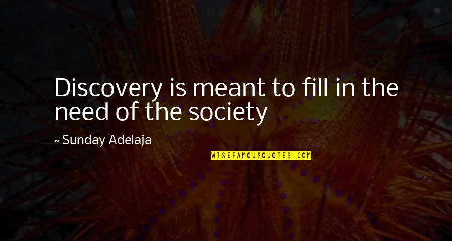 Smile Welcome Quotes By Sunday Adelaja: Discovery is meant to fill in the need