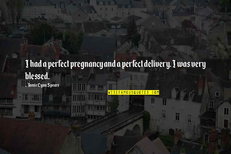 Sminuire Significato Quotes By Jamie Lynn Spears: I had a perfect pregnancy and a perfect