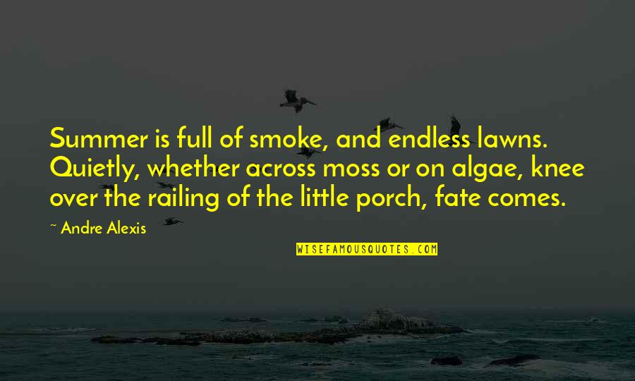 Smoke Quotes By Andre Alexis: Summer is full of smoke, and endless lawns.