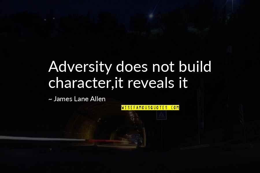 Smoke Screen Quotes By James Lane Allen: Adversity does not build character,it reveals it
