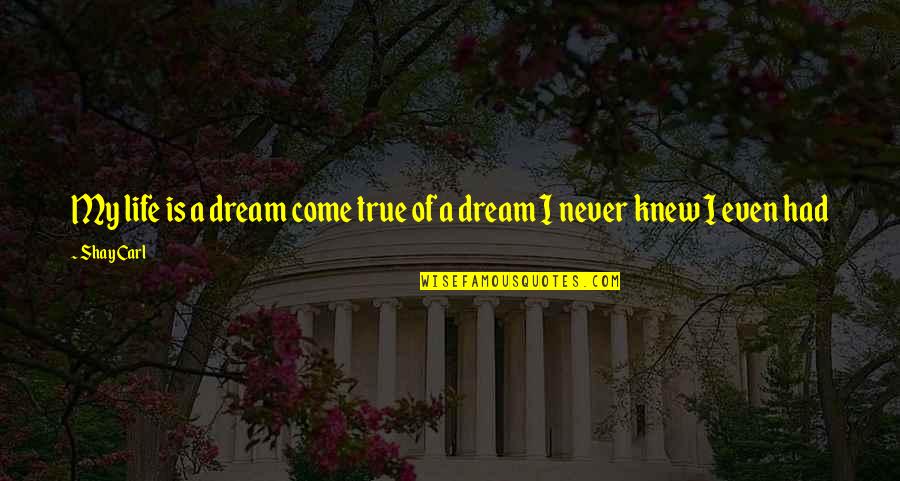 Smoke The Vote Quotes By Shay Carl: My life is a dream come true of
